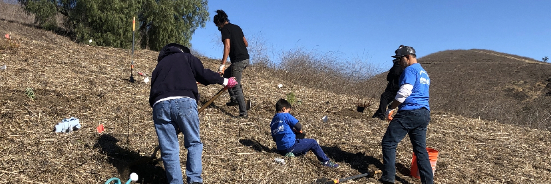 North East Trees and SoCalGas planting trees in Lincoln Heights