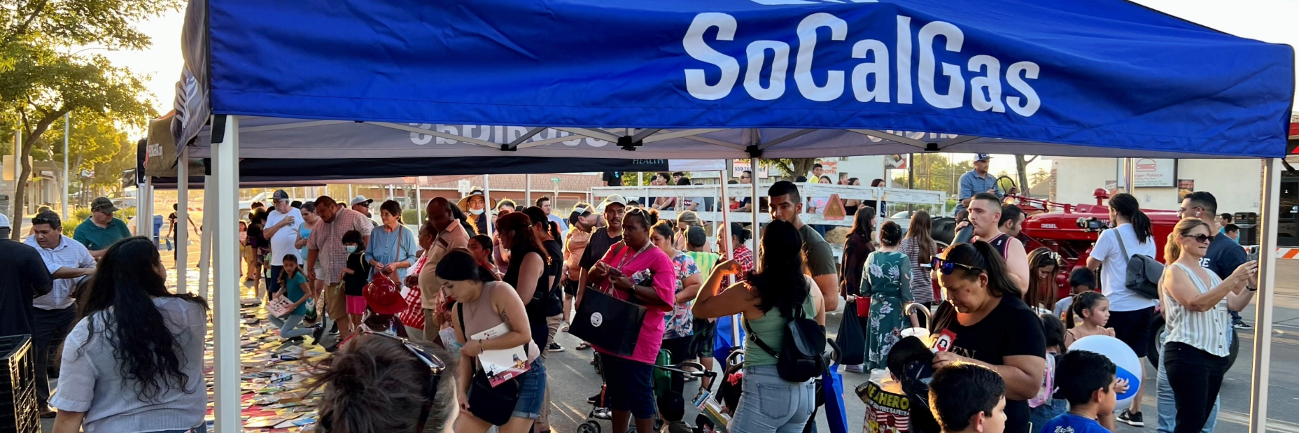 People looking at books on the ground outside at the event