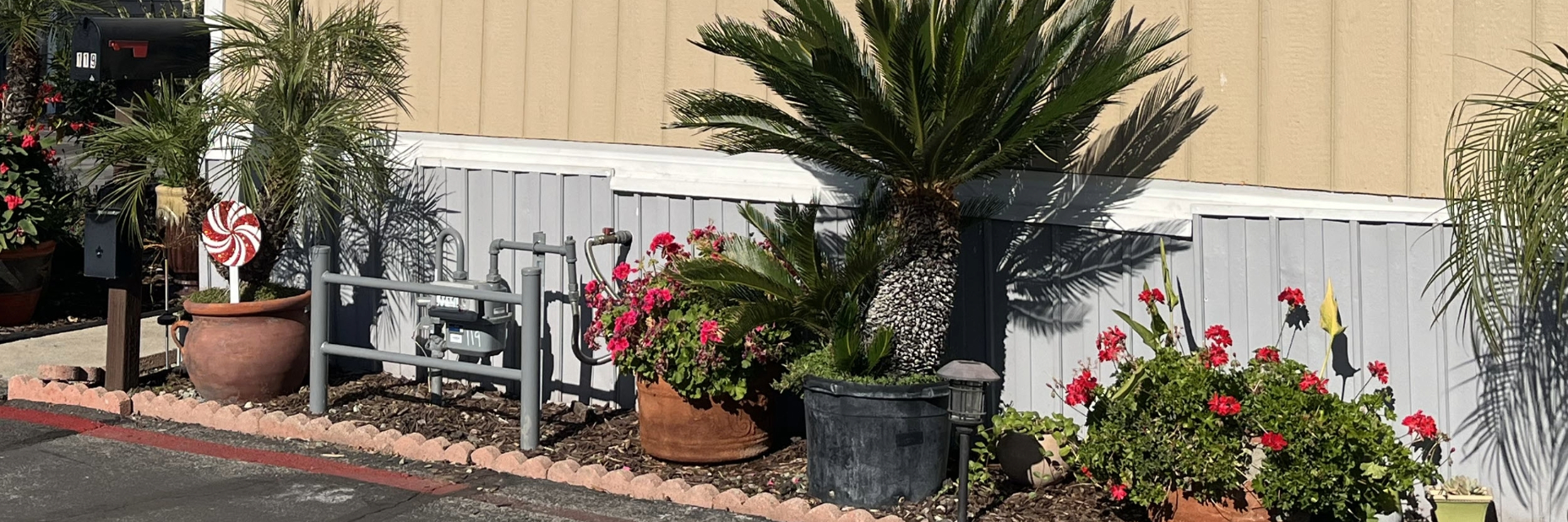 Image of a gas meter against the wall of a mobile home