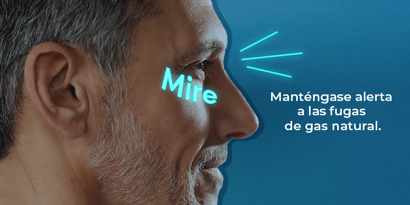 Mire, Escuche, Huela