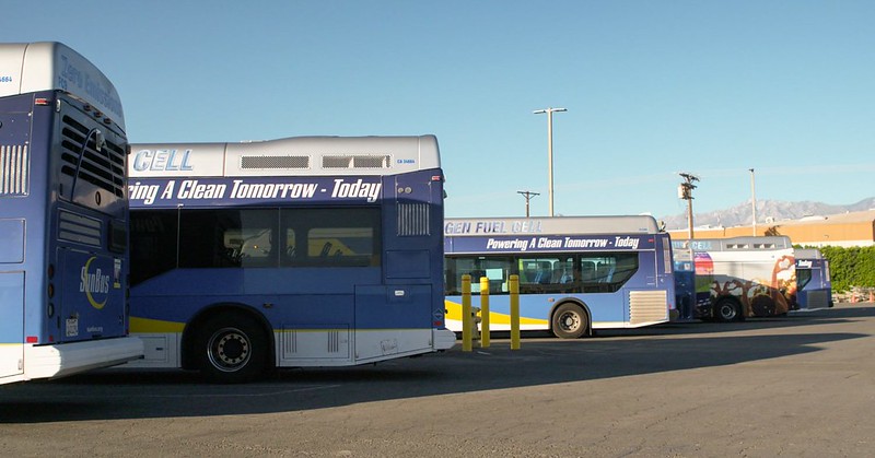 A shot of the sunline buses parked at the base