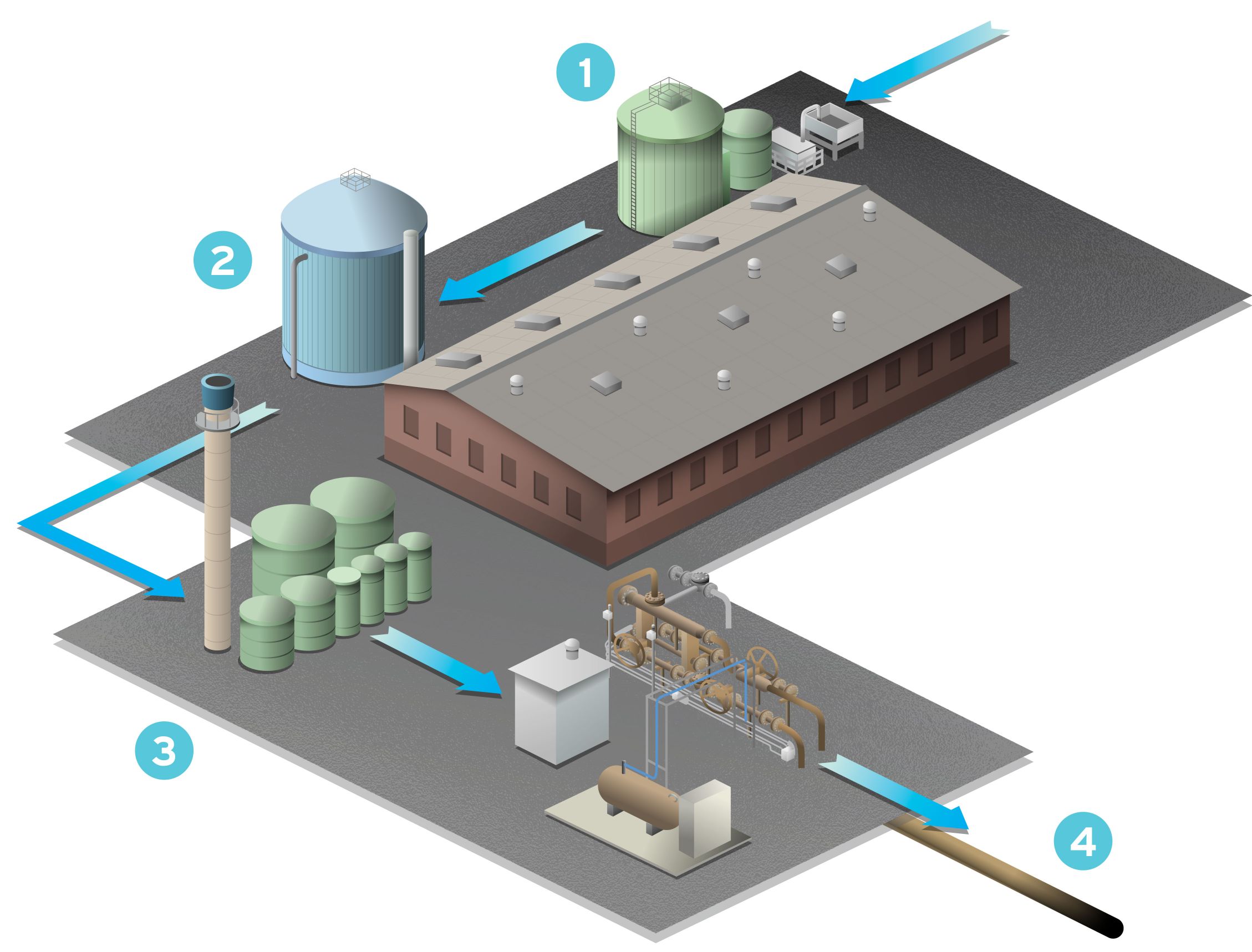 Diagram showing how Biogas is converted into Renewable Natural Gas