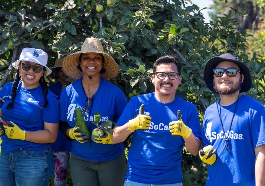 SoCalGas Employees Volunteering, picking fruit, posing for a photo in front of the orchard.